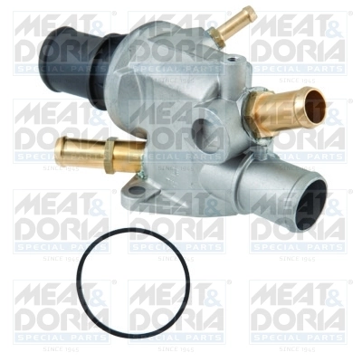 Thermostat, coolant